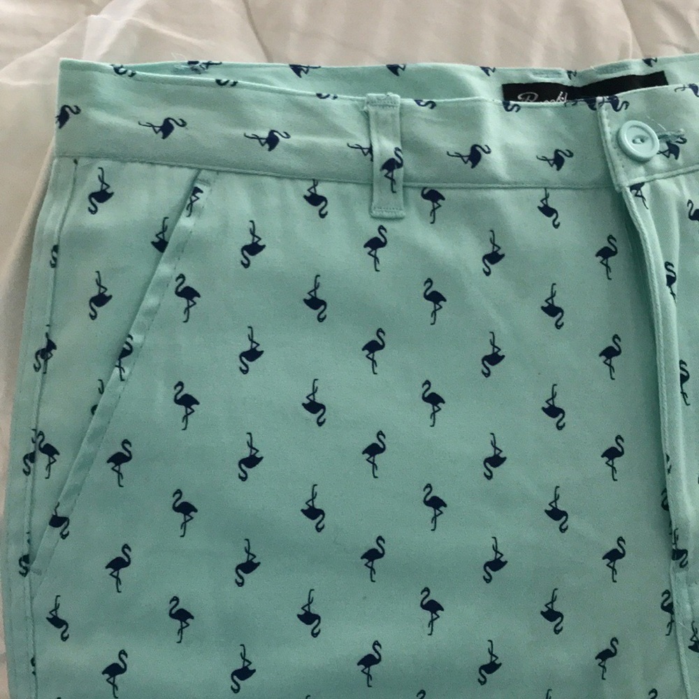 NWOT Men’s Flamingo Shorts
